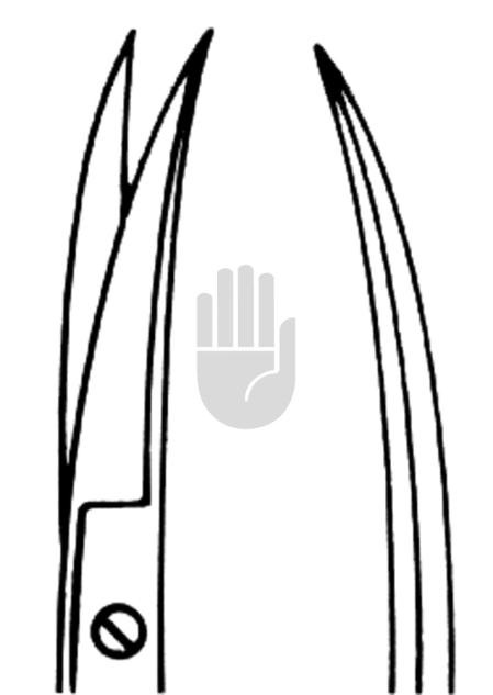 Iris scissor 