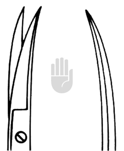 Iris scissors 