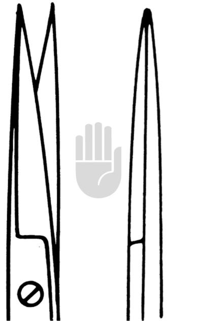 Iris scissor 
