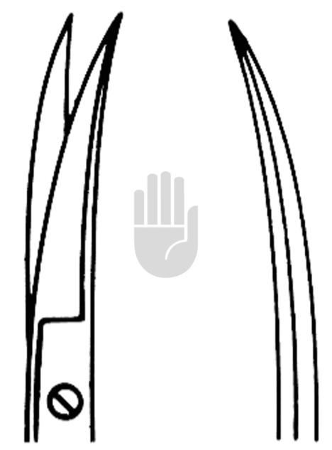 Iris scissor 