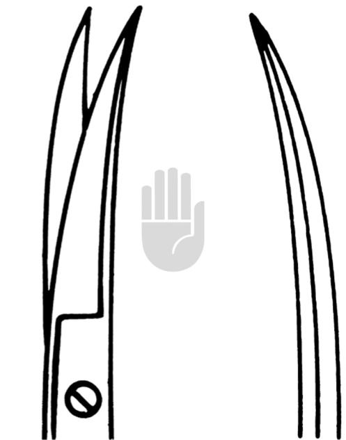 Iris Scissors 