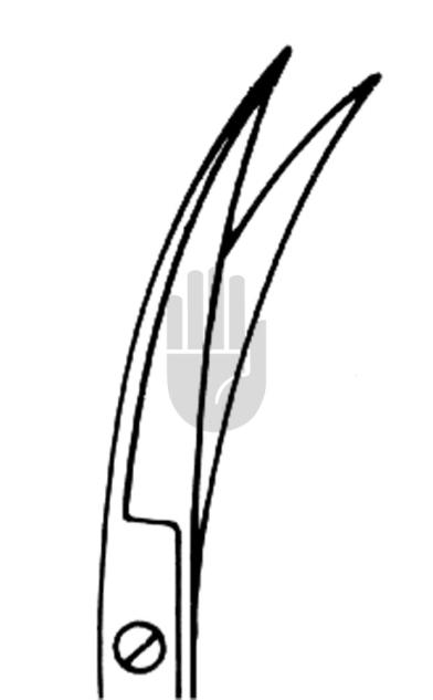 Iris scissor 