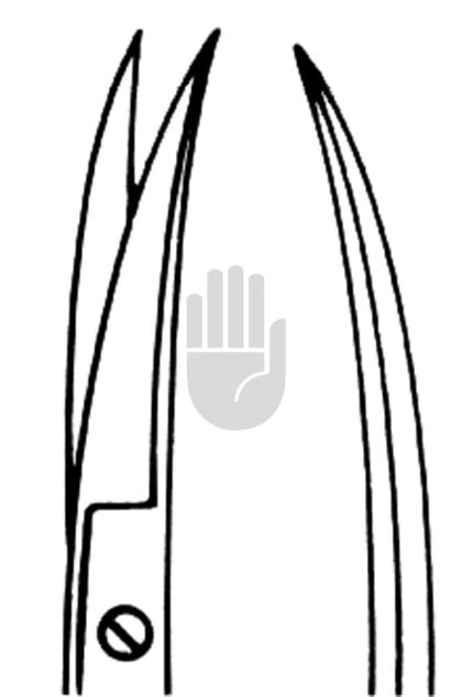 Iris scissor 