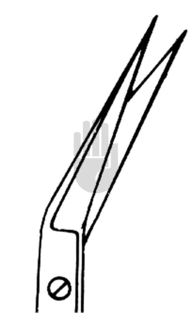Iris scissor 