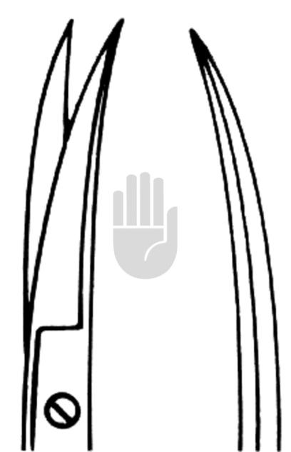 Iris scissor 