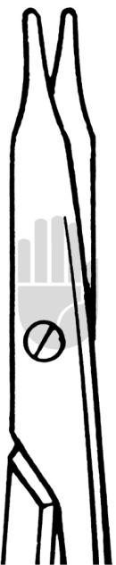 Stevens 