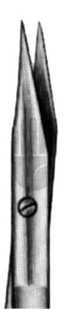 Ribbon 